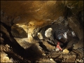 Podzemní důl na vápenec u Klatov