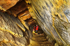 ChlustinavLeseSKrtkem