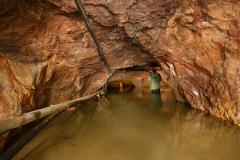 MorinaUpadniceDoMexika1